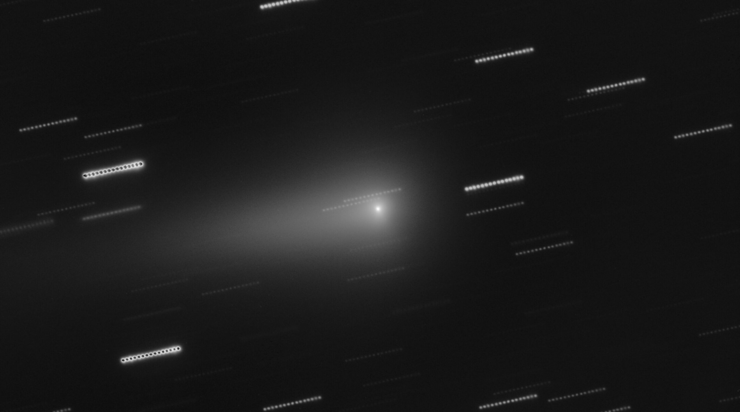 El cometa 3I/ATLAS fotografiado en blanco y negro: un núcleo puntual muy brillante rodeado de una coma difusa y una cola ancha que se abre hacia la izquierda. Las estrellas del fondo salen como hileras de puntos alineados, el rastro que dejan al sumarse varias exposiciones seguidas.