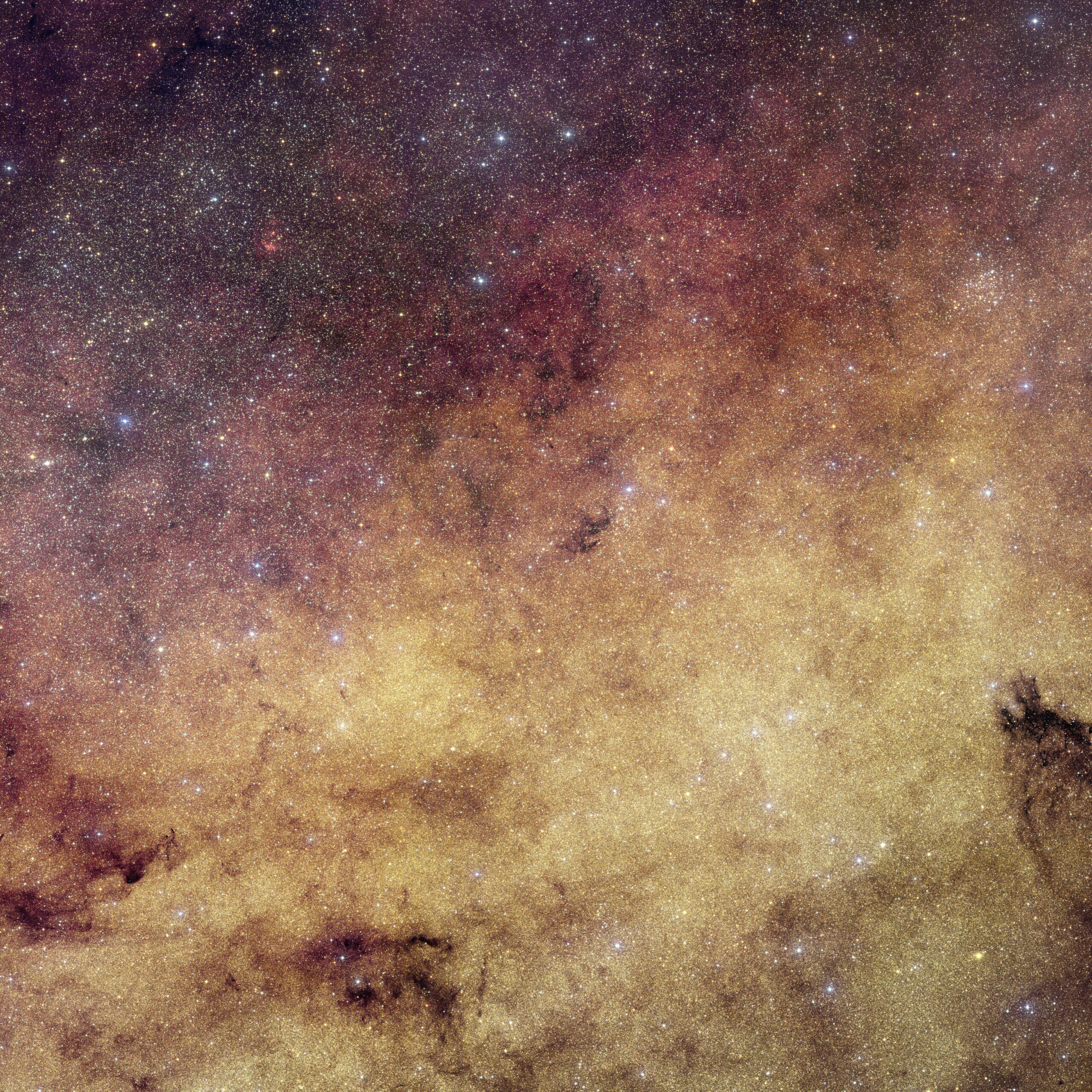 Campo de estrellas amarillas y doradas muy apretadas que llena toda la imagen, cortado por manchas irregulares de polvo oscuro; hacia la esquina superior izquierda el color vira a tonos rojizos y morados, con puntos azules dispersos.