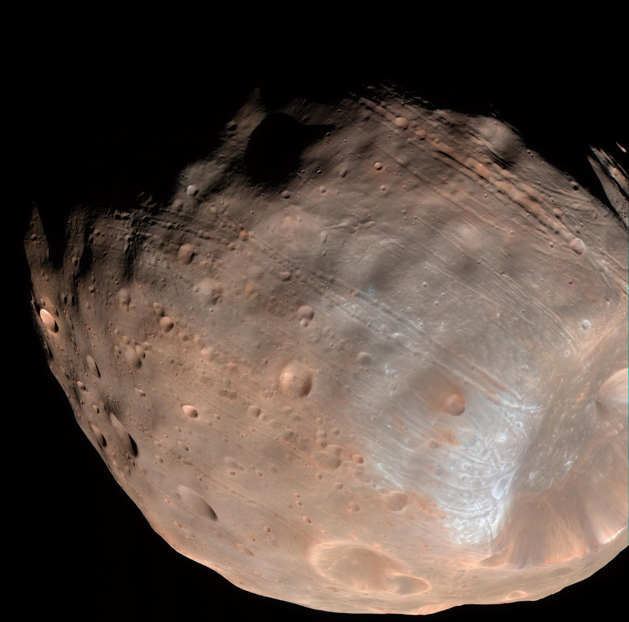 Fobos, luna irregular de Marte con forma de patata, fotografiada en color sobre fondo negro. Ocupa casi todo el encuadre y está cubierta de cráteres y de surcos paralelos. Abajo a la derecha destaca el cráter Stickney, el mayor de todos, cuyo borde se ve de un gris más azulado que el resto de la superficie, de tono pardo rojizo.