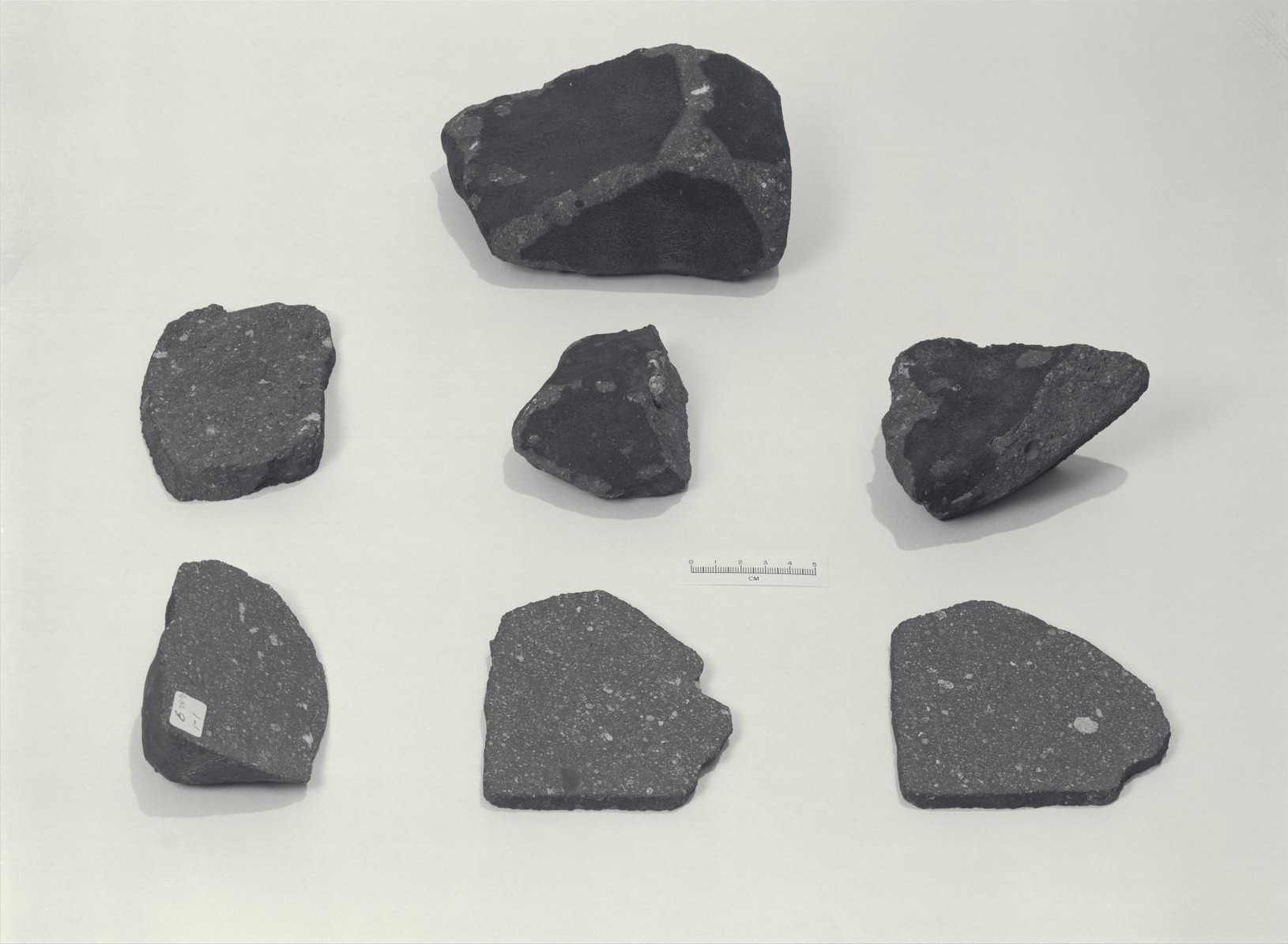 Siete fragmentos oscuros del meteorito Allende colocados sobre un fondo claro, fotografiados en blanco y negro junto a una regla en centímetros. En las caras cortadas de los trozos de abajo se ven motas claras de distintos tamaños repartidas por toda la roca.