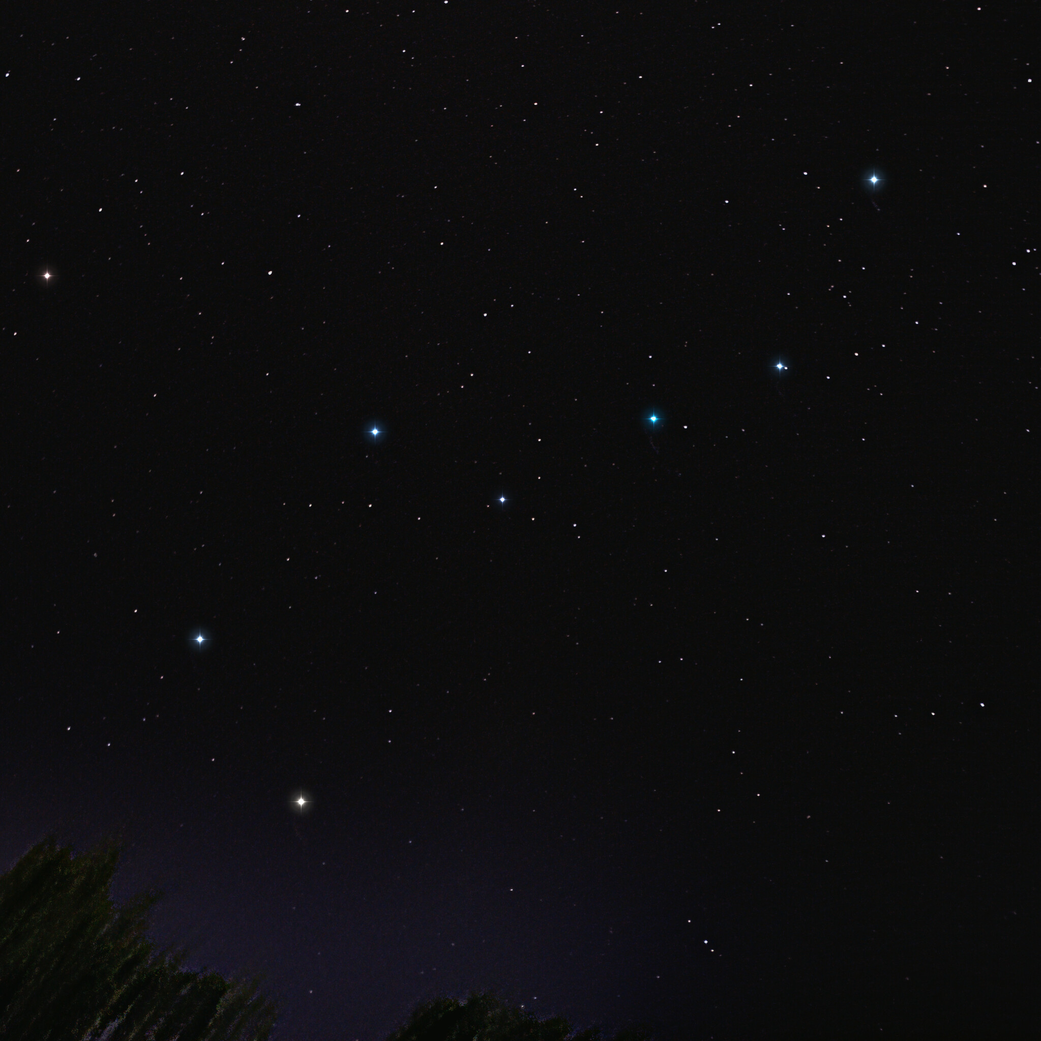Las siete estrellas del Carro, en la Osa Mayor, sobre un cielo nocturno negro, con la silueta oscura de la copa de un árbol en la esquina inferior izquierda.