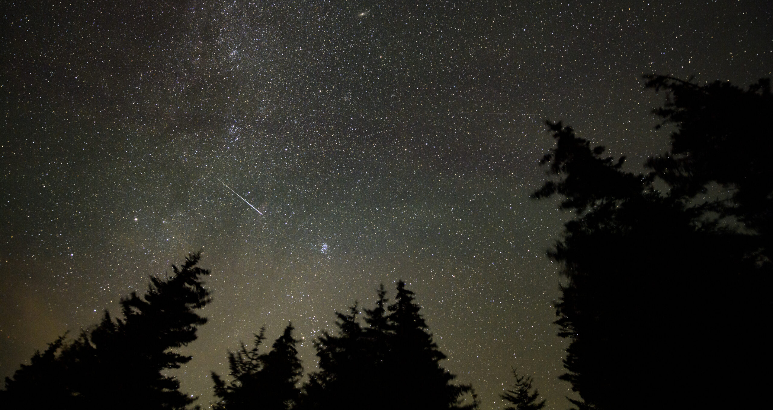 Cielo nocturno cuajado de estrellas, con la banda tenue de la Vía Láctea cruzando de arriba abajo. En la mitad izquierda, un meteoro deja una raya blanca y fina, más brillante en su extremo inferior. Abajo y a la derecha, las siluetas negras de varios abetos recortadas contra el cielo.
